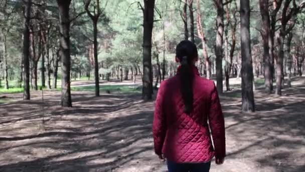Жінка Гуляє Лісі Озирається Навколо Насолоджується Красою Природи Вид Ззаду — стокове відео