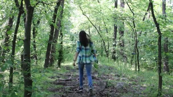 Frau Springt Auf Steinen Einem Grünen Wald Rückseite — Stockvideo