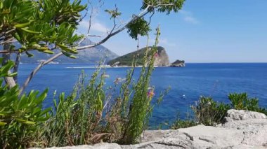 Güneşli bir günde, dağlı, mavi gökyüzü olan renkli bir deniz manzarası. Ön planda, bitkiler rüzgarda sallanıyor..