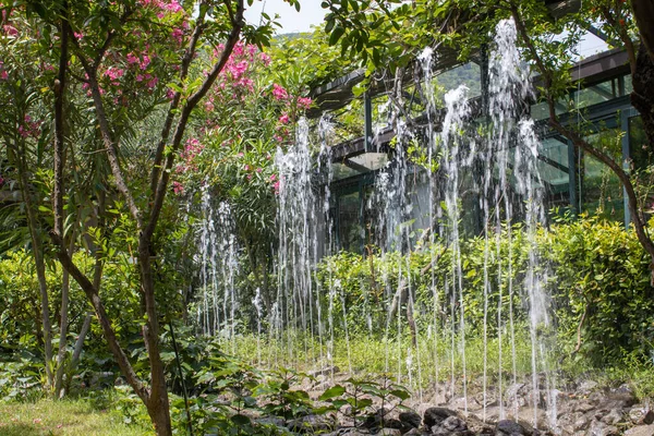 Pequena Fonte Vertical Decorativa Verão Jardim Projeto Paisagístico Com Belas — Fotografia de Stock