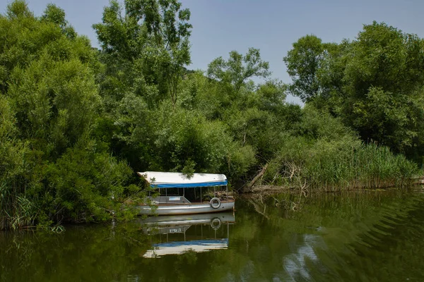人のいない空のボートが絵のように美しい川に立っている 川岸とパワーボートのパノラマビュー 水の近くに美しい緑の木や植物 — ストック写真