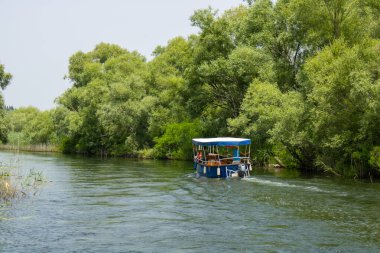 İnsanlarla dolu bir tekne pitoresk nehirde yüzüyor. Nehir kıyısında panoramik manzara ve sürat teknesi. Su kenarındaki güzel yeşil ağaçlar ve bitkiler.