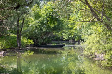 Eski terk edilmiş tekne. Sakin, resimli bir nehrin kıyısında küçük bir balıkçı teknesi. Son liman - yaşam suyu nakliyatının sonu.