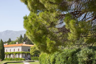 Karadağ 'ın Adriyatik Denizi kıyısındaki güzel yeşil Kraliyet Parkı ve ikamet yeri Villa Milocer' in panoramik yaz manzarası