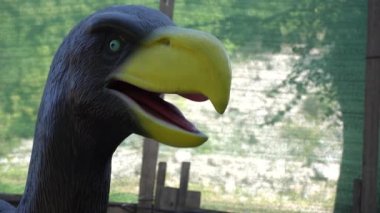 Dinopark 'ta tarih öncesi döneme ait hareket eden hayvan modellerinin sergilenmesi. Mekanik heykel Titanis.