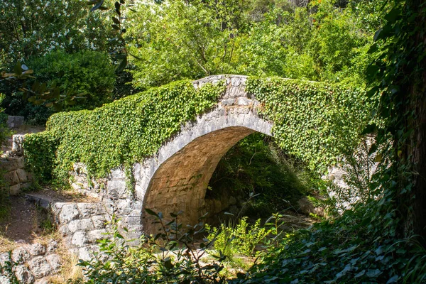 Vieja Pasarela Piedra Sobre Río Montaña Hiedra Verde Creciendo Arco —  Fotos de Stock