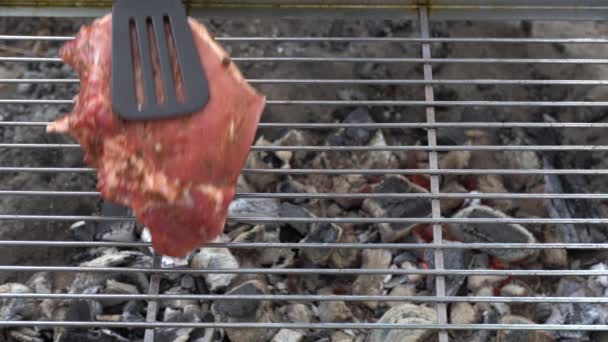 Saftiges Steak Wird Auf Holzkohle Auf Eisengrill Zum Picknick Aus — Stockvideo