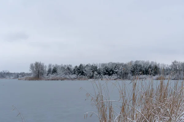 Buzlu nehirde çam ağaçları ve yapraksız yaprak döken bir kış adası. Karla kaplı kasvetli gökyüzü manzarası. Her zaman yeşil olan bitkilerle beyaz karla kaplı suyun güzel doğa karışımı..