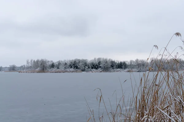 Buzlu nehirde çam ağaçları ve yapraksız yaprak döken bir kış adası. Karla kaplı kasvetli gökyüzü manzarası. Her zaman yeşil olan bitkilerle beyaz karla kaplı suyun güzel doğa karışımı..