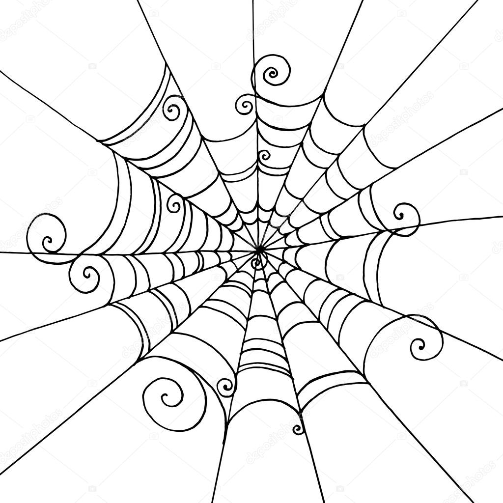 Spider Web hand-drawn on  isolated white background. Background 