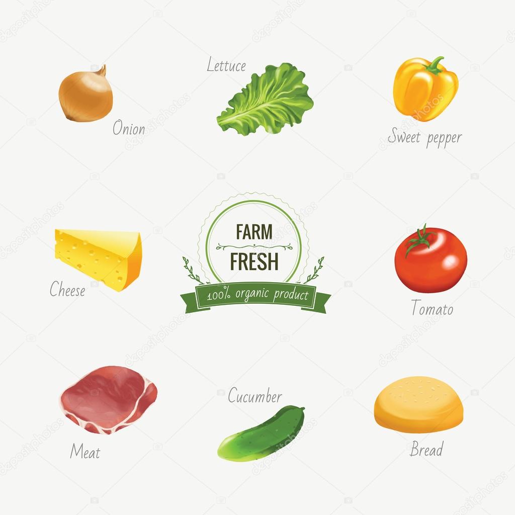 Set of organic food icons with labels and elements. Realistic ve