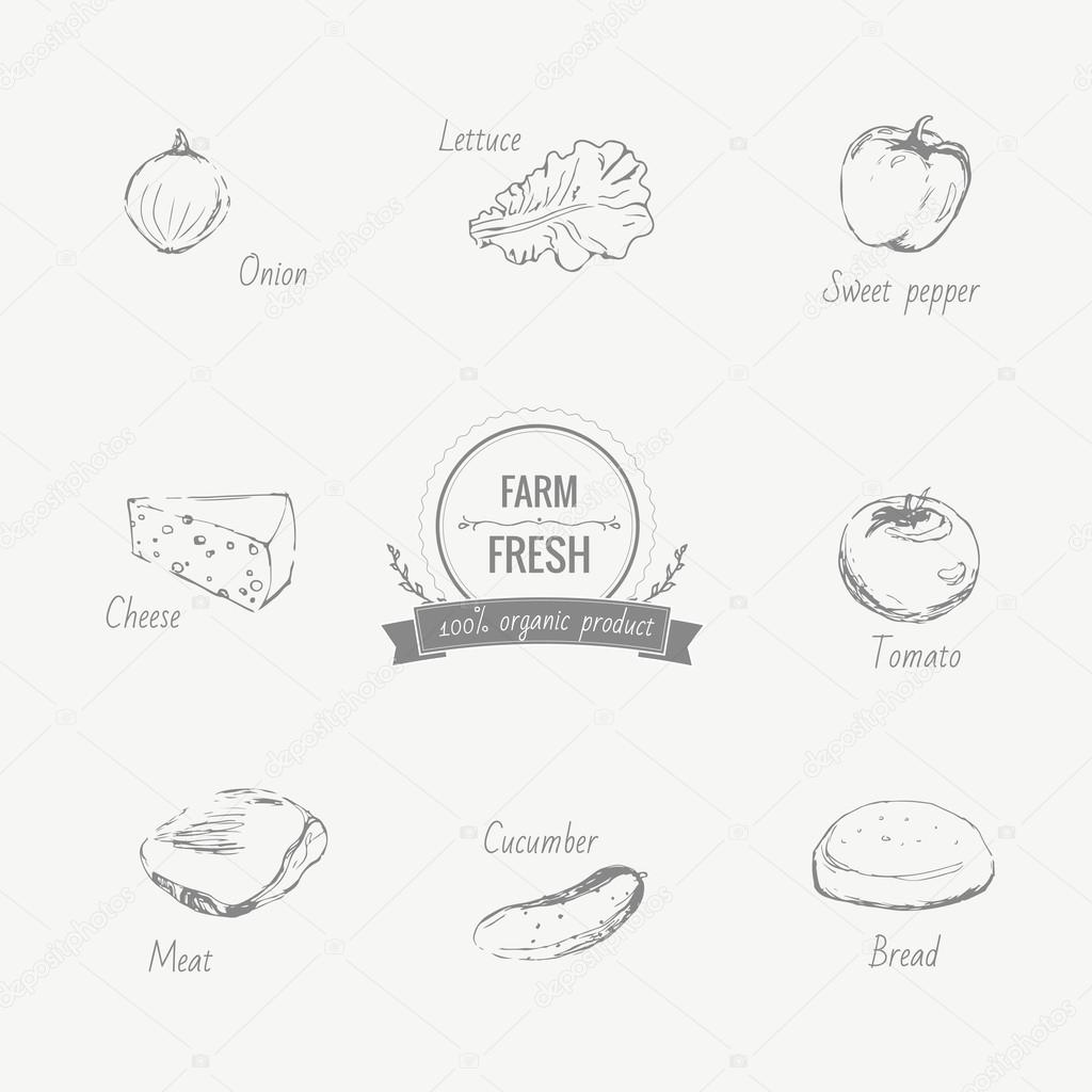Set of organic food icons with labels and elements. Sketch style