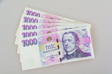 Çek para taç kağıt notları