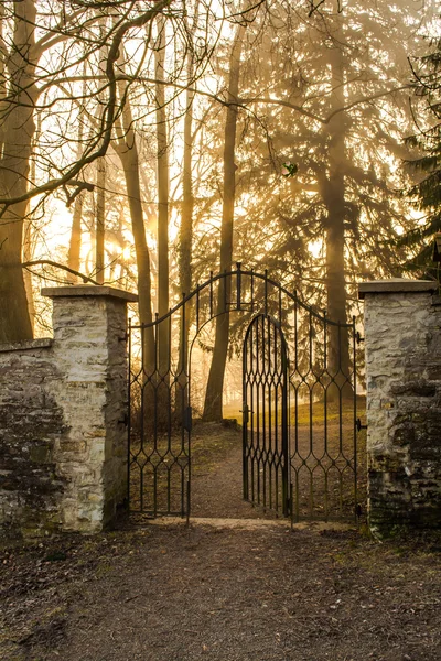 Porten till skogen solen Royaltyfria Stockfoton