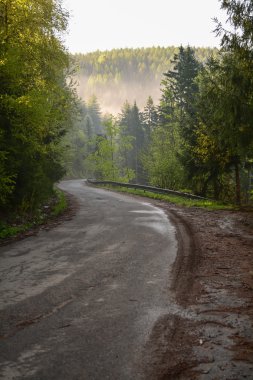 el sendero por el bosque