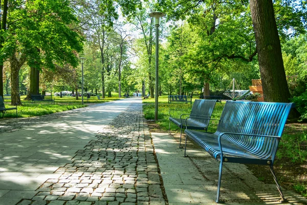 Parková lavička v stínu stromů — Stock fotografie