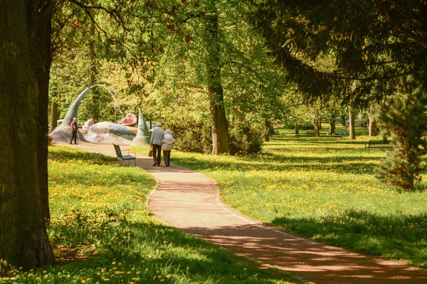 O caminho através da idade da floresta — Fotografia de Stock