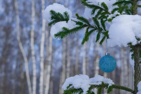 Uma Bola Azul Brilhante Pendura Ramo Uma Árvore Natal Jovem — Fotografia de Stock