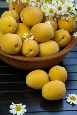 Olgun kayısılarla dolu eski bir kil tabağı siyah ahşap bir arka planda duruyor. Yakın planda çekilmiş. Kayısılar küçük papatya çiçekleriyle süslenir..