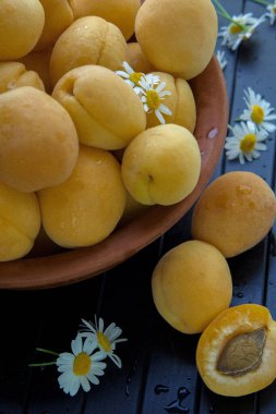 Olgun kayısılarla dolu eski bir kil tabağı siyah ahşap bir arka planda duruyor. Yakın planda çekilmiş. Kayısılar küçük papatya çiçekleriyle süslenir..