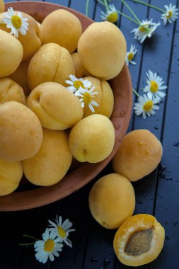 Olgun kayısılarla dolu eski bir kil tabağı siyah ahşap bir arka planda duruyor. Yakın planda çekilmiş. Kayısılar küçük papatya çiçekleriyle süslenir..