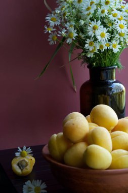 Bir buket kır çiçeği, eski bir kavanoza benzeyen siyah bir cam vazonun içinde duruyor. Yakınlarda olgun kayısılarla dolu eski bir toprak kase var. Çiçeklerin arkasında koyu bir arka plan var..