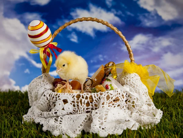 Easter, bunny and chicken — Stock Photo, Image