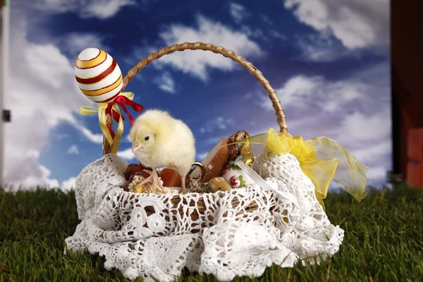 Easter, bunny and chicken — Stock Photo, Image