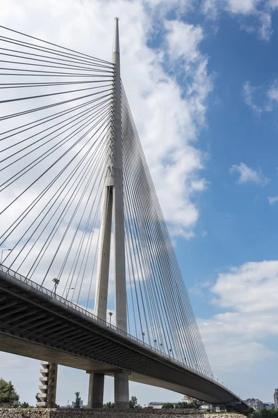 Pylon bro över Ada, Belgrad — Stockfoto