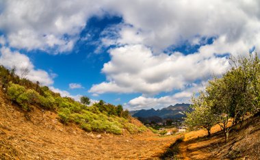 MOC Chau Yaylası, Vietnam - 5 Şubat 2014 - erken Bahar Erik plantasyon.
