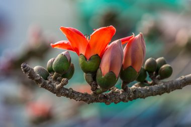 Ürün reçetesi bax eski şehrin Namdinh, Vietnam üzerinde