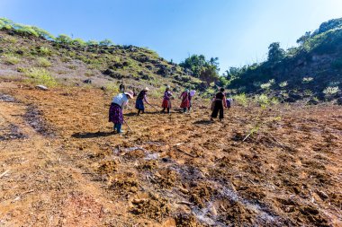 Moc Chau Yaylası, Vietnam - 5 Şubat 2014 - etnik çiftçiler ile geleneksel hoes alanların çalışma. Etnik tarım yöntemleri hala geriye dönük ve bunların çoğu gibi uzun zaman önce el ile.