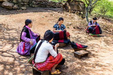 MOC Chau Yaylası, Vietnam - 5 Şubat 2014 - bir grup ay yeni yıl vesilesiyle el sanatları Erik plantasyon içinde bağlama tanımlanamayan etnik nüfusu boş zaman zaman, toplama.