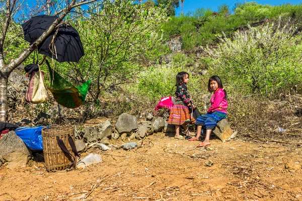 Mochau Plateau, Vietnam - February 5th, 2014 - Two unidentified H'Mong ethnic girls resting in a plum plantation — Stock Photo, Image