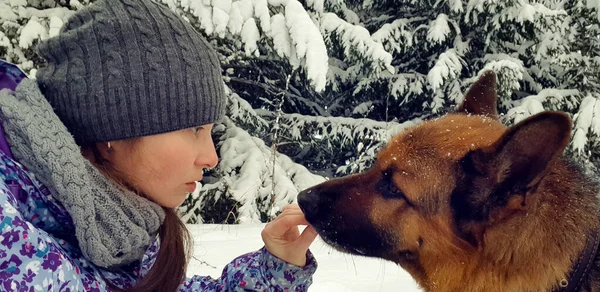 The girl feeds the dog. Friendship between an animal and a human.