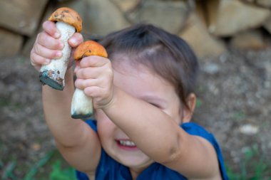 Elinde büyük bir sepet turuncu mantarla küçük bir kız..