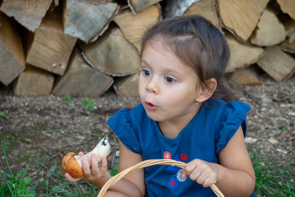 Bambina Vestita Blu Con Grande Cesto Funghi Porcini Arancio Cap — Foto Stock