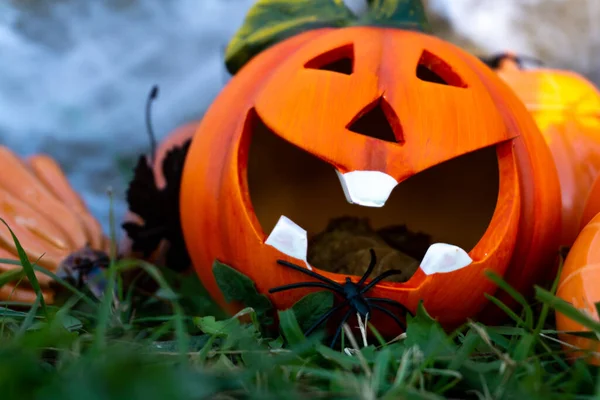 Mínimo concepto de Halloween miedo es una calabaza naranja decorativa con una araña arrastrándose dentro. Decoraciones de Halloween o concepto de invitación a fiestas. —  Fotos de Stock