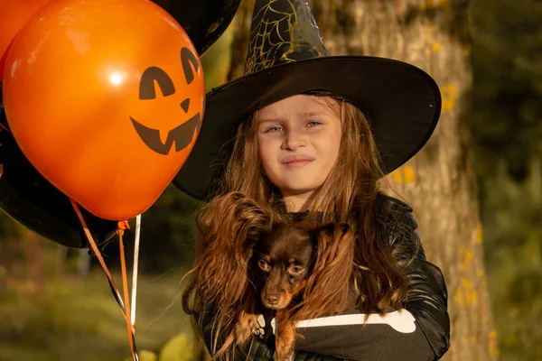 Niña divertida en un disfraz de bruja para Halloween con un perro pequeño y con globos negros y naranjas. —  Fotos de Stock