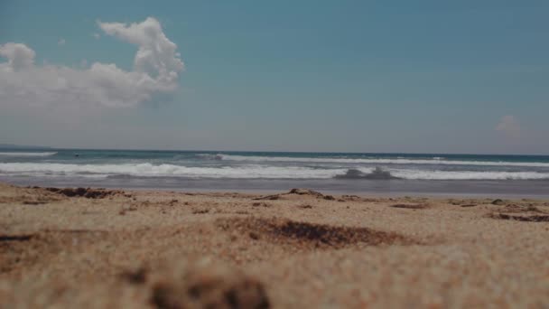 Survolez la plage avec une vue imprenable sur l'océan — Video