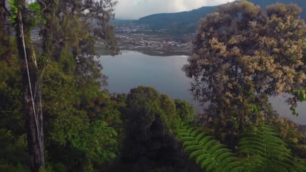 Vuelo con vistas a los lagos sagrados de Tamblingan y Beratán situado en lo alto de las montañas en el cráter del volcán Chatur en la isla de Bali. — Vídeos de Stock