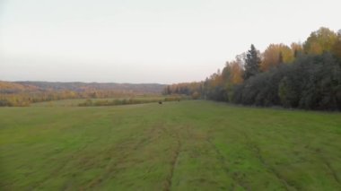 Sonbaharda Karelia 'daki Ruskeala dağ parkı.
