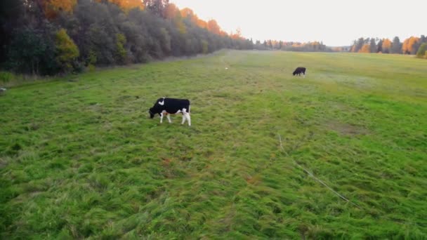 Ruskeala bergpark in Karelië in de herfst. — Stockvideo