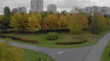 St. Petersburg 'da bir sonbahar parkının güzelliği.