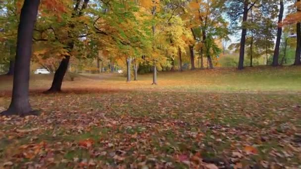 サンクトペテルブルクの秋の公園の美しさ. — ストック動画