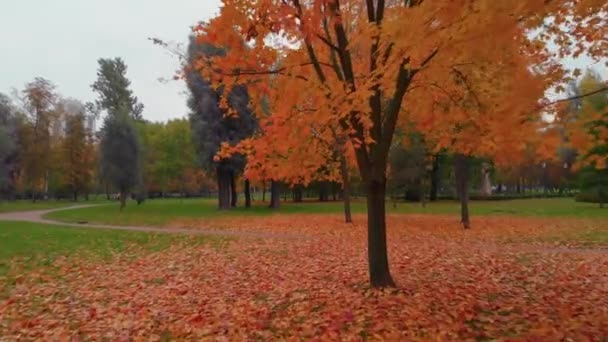 圣彼得堡秋天公园的美丽. — 图库视频影像