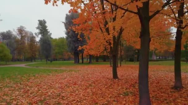 圣彼得堡秋天公园的美丽. — 图库视频影像