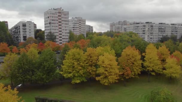 De knapheid van een herfst park in St. Petersburg. — Stockvideo