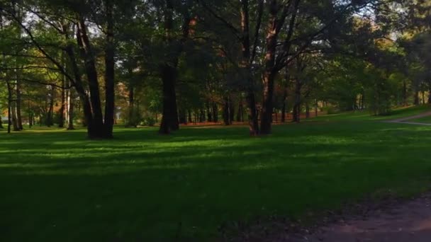 상트페테르부르크에 있는 가을 공원의 아름다움. — 비디오