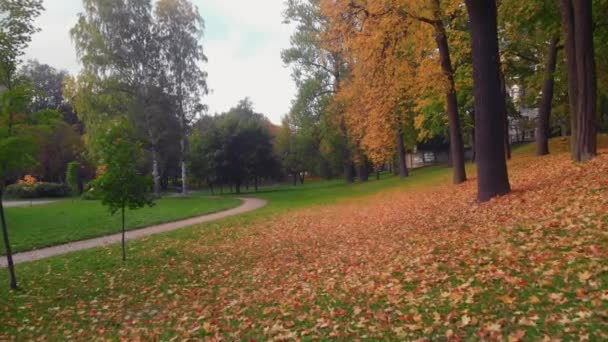 A beleza de um parque de outono em São Petersburgo. — Vídeo de Stock